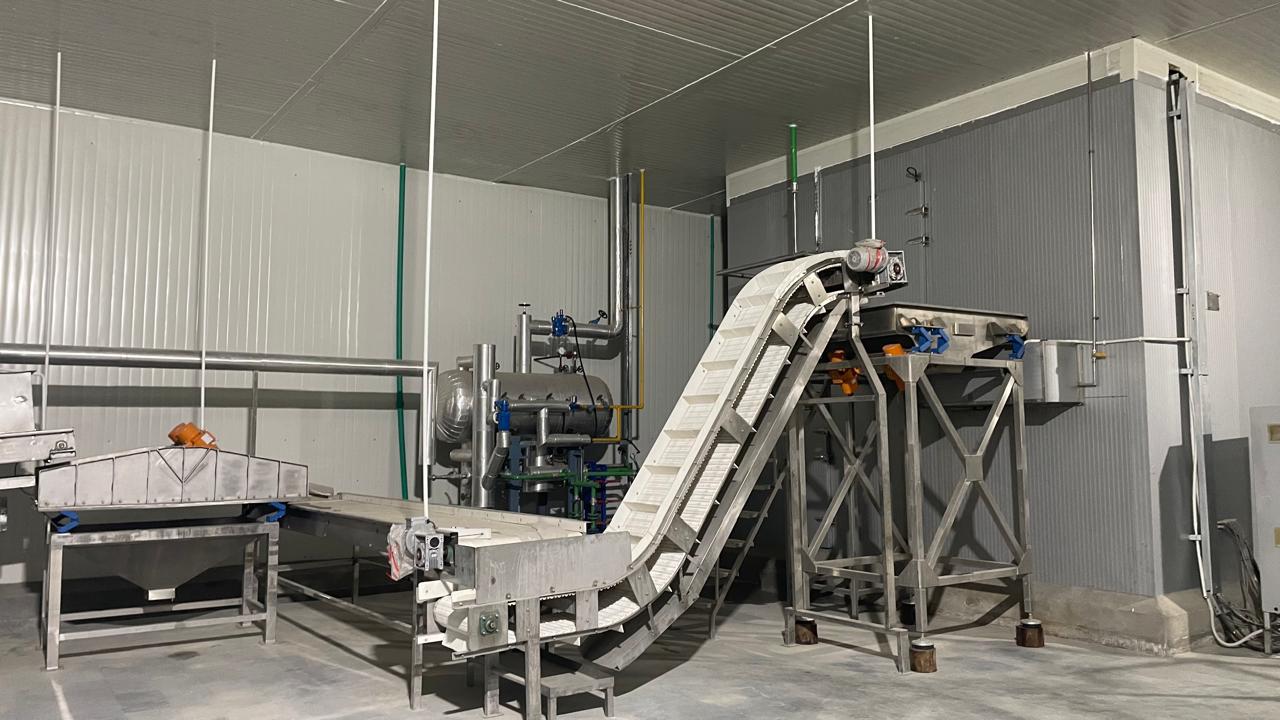 P Star frozen vegetable processing line